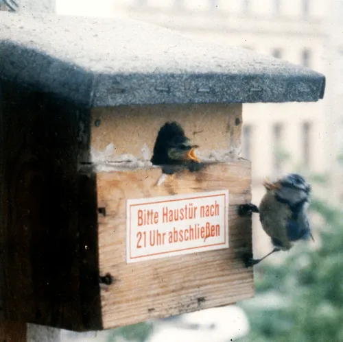 Meisenkasten